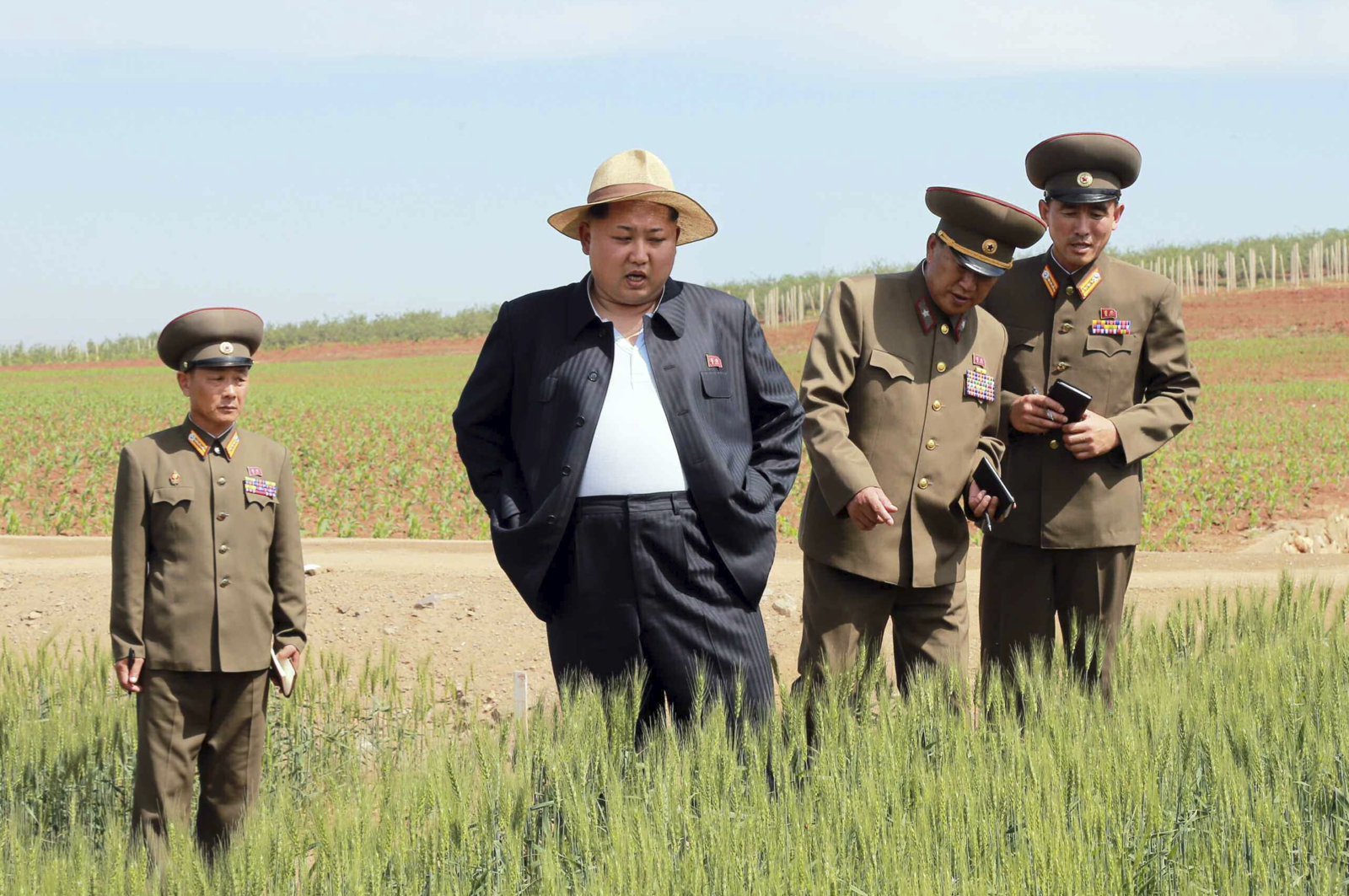 北朝鮮「ジャガイモ革命」が成功しすぎて処分に困る