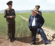 農場を視察する金正恩氏（朝鮮中央通信）