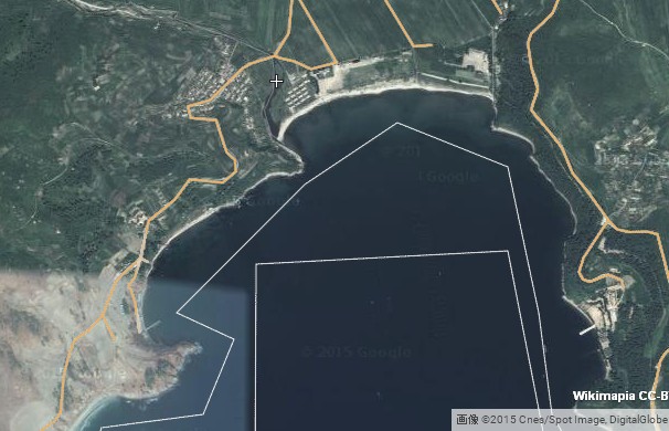 偵察総局清津連絡所があると推定される清津市蘆倉洞の衛星写真。（画像：Wikipedia）