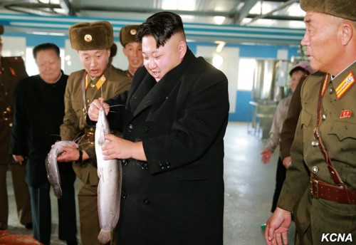 5月9日ナマズ養殖工場を訪れた金正恩氏／朝鮮中央通信
