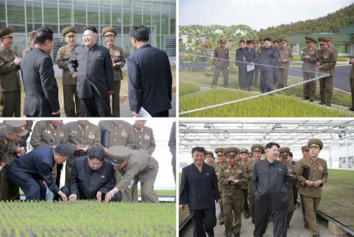 朝鮮人民軍の育苗場を現地指導した金正恩氏（2016年5月15日付労働新聞より）