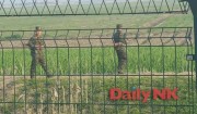 北朝鮮・新義州市の田植え戦闘の様子（撮影：デイリーNK取材班）