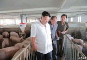 大同江養豚工場を現地指導した金正恩氏（2016年8月18日付朝鮮中央通信より）