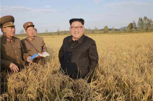 朝鮮人民軍傘下「第1116号農場」を現地指導した金正恩氏（2017年9月30日付労働新聞より）