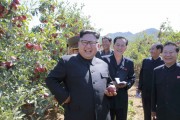 黄海南道クァイル郡を現地指導した金正恩氏（2017年9月21日付労働新聞より）