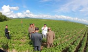 三池淵群中興農場を現地指導した金正恩氏（2018年7月10日付朝鮮中央通信より）