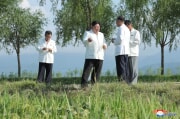 金正恩氏が江原道被災地農場を視察した（2023年8月18日付朝鮮中央通信）