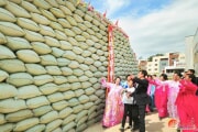 計画より3割も収穫が増えた黄海南道白川郡の協同農場（画像：労働新聞）