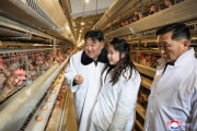 金正恩氏とジュエ氏が光川養鶏工場を現地指導した（2024年1月8日付朝鮮中央通信）